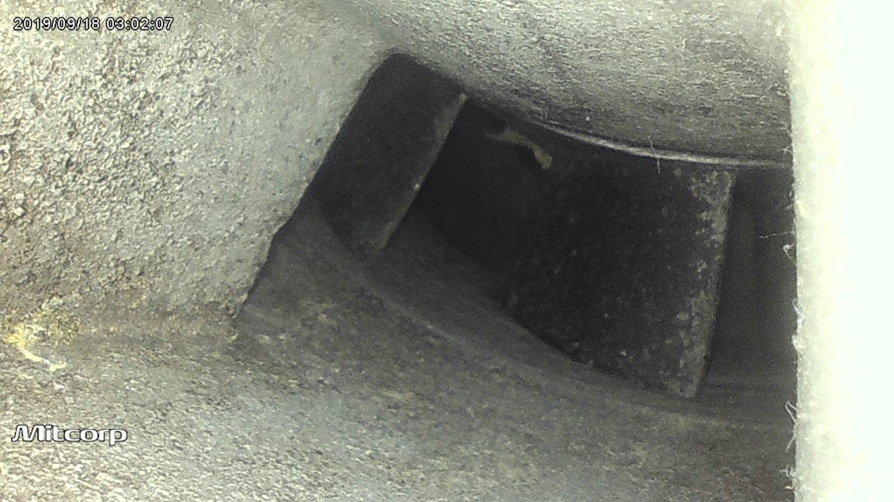 X2000 6mm pic 6