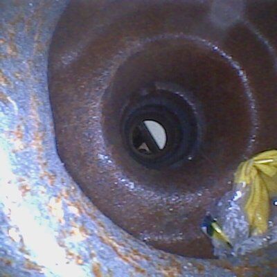 USAVSNA-1.6-Sample 5