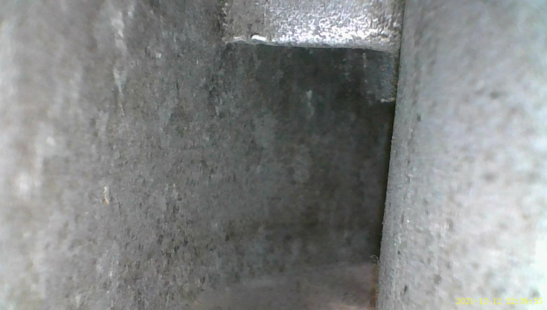 EVS-1-DV Inspection 2